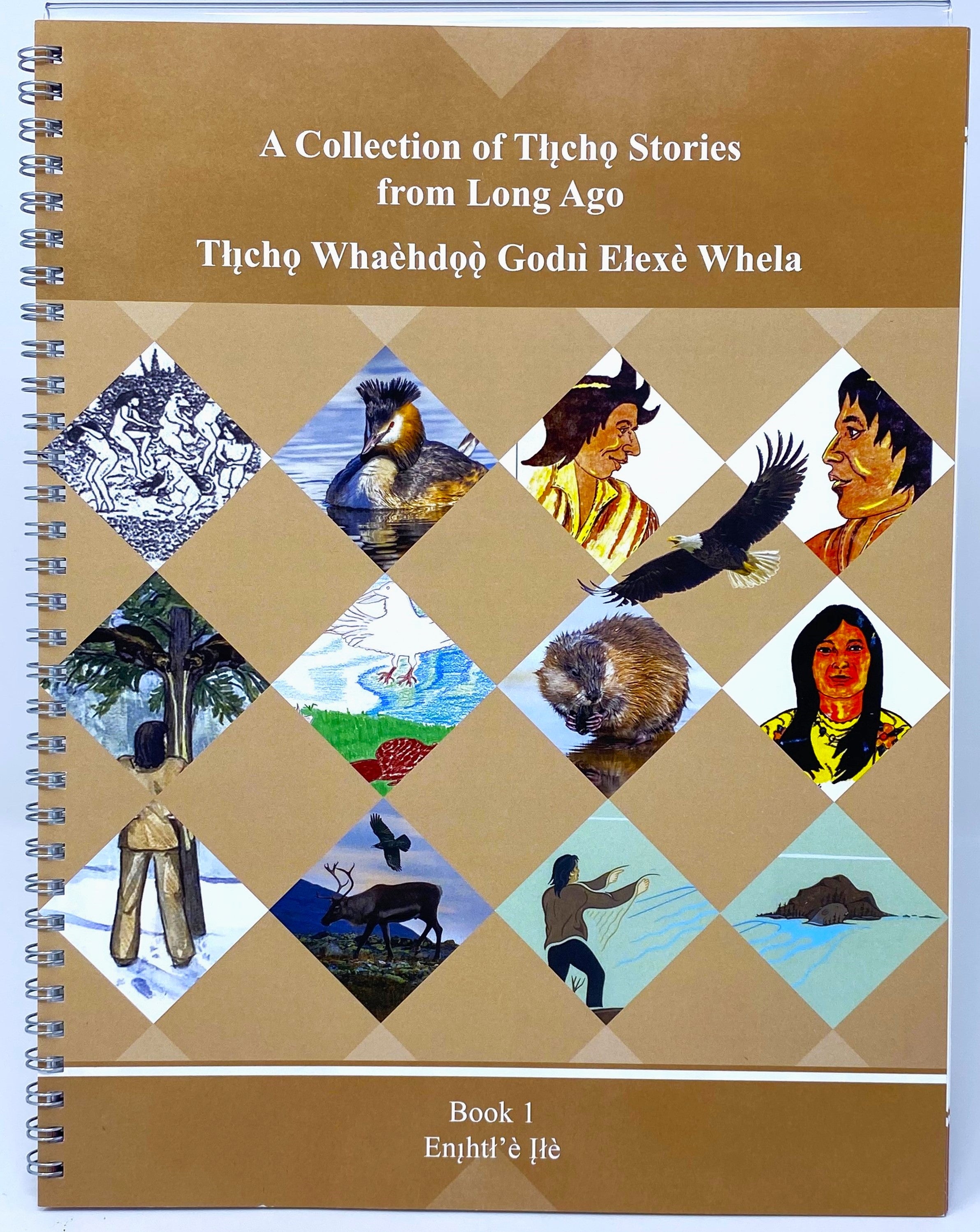 A Collection Of Tlicho Stories from a long time ago - Book 1  English & Tłı̨chǫ