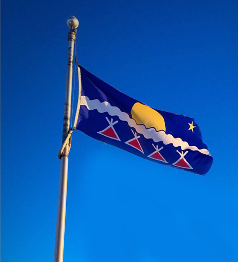 Tłı̨chǫ Flag