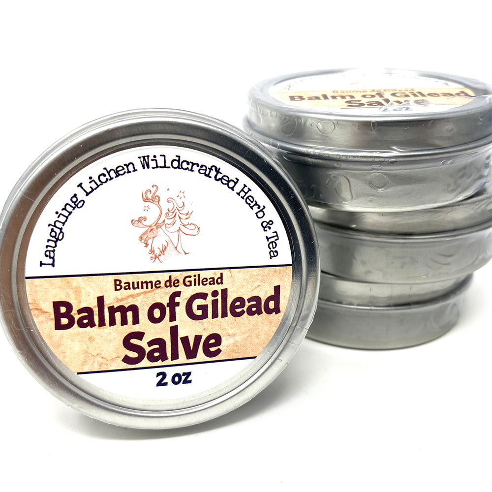 Balm of Gilead Salve